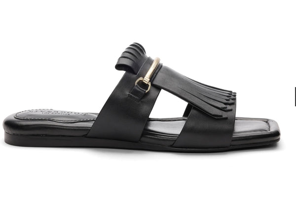 SLIDE WITH FRINGE