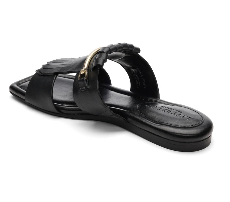 SLIDE WITH FRINGE